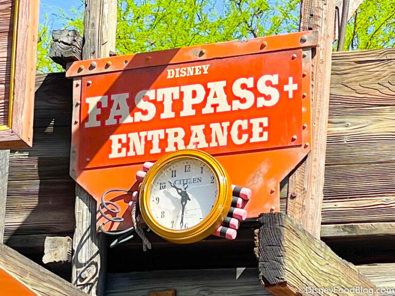 Ultimate Disney World FastPass Ride Guide